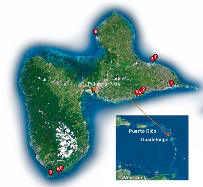 1. St. Francois 2. St. Anne / Bois Jolan 3. St. Anne / Calif 4. St. Anne / La Digue 5. La Communale 6. Le Moule / Lagune 7. Le Moule / Les Alizees 8. Port Louis 9. Vieux Fort 10. Grande Anse 11. Batterie