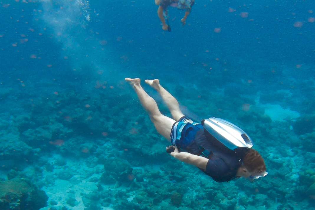 Dive like a dolphin: for 40 minutes at a maximum of six knots at a depth of up to 40 metres