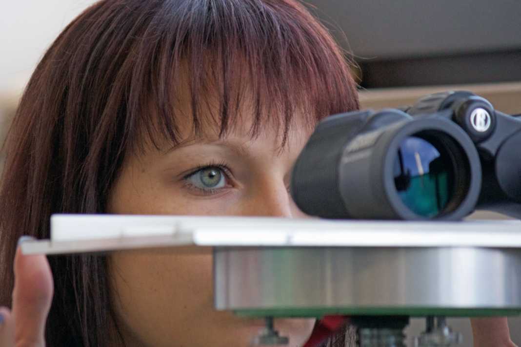 Insgesamt kamen 15 Modelle auf den Prüfstand.