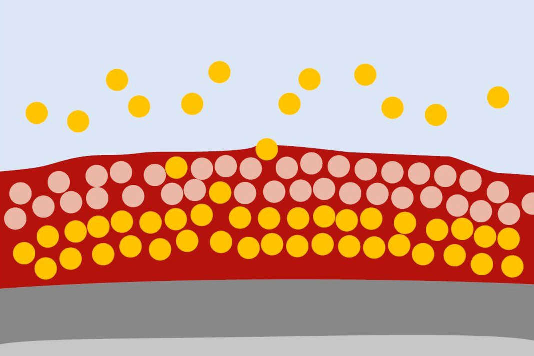 Hard antifouling: The biocides are bound in a resin system. It is mechanically very resilient and is suitable for trailer boats and in tidal areas. Over the course of the season, the active substances wash out and the protection slowly wears off. The empty resin matrix remains on the hull and must be sanded off in winter