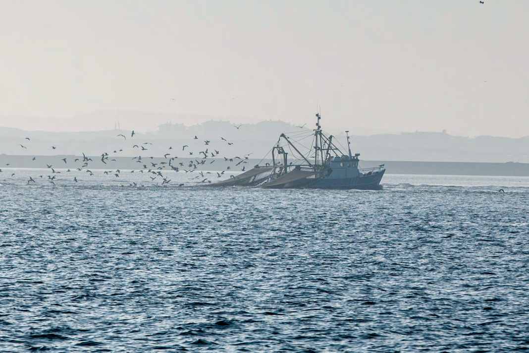 Photographed from standing height, the picture has a different mood than...