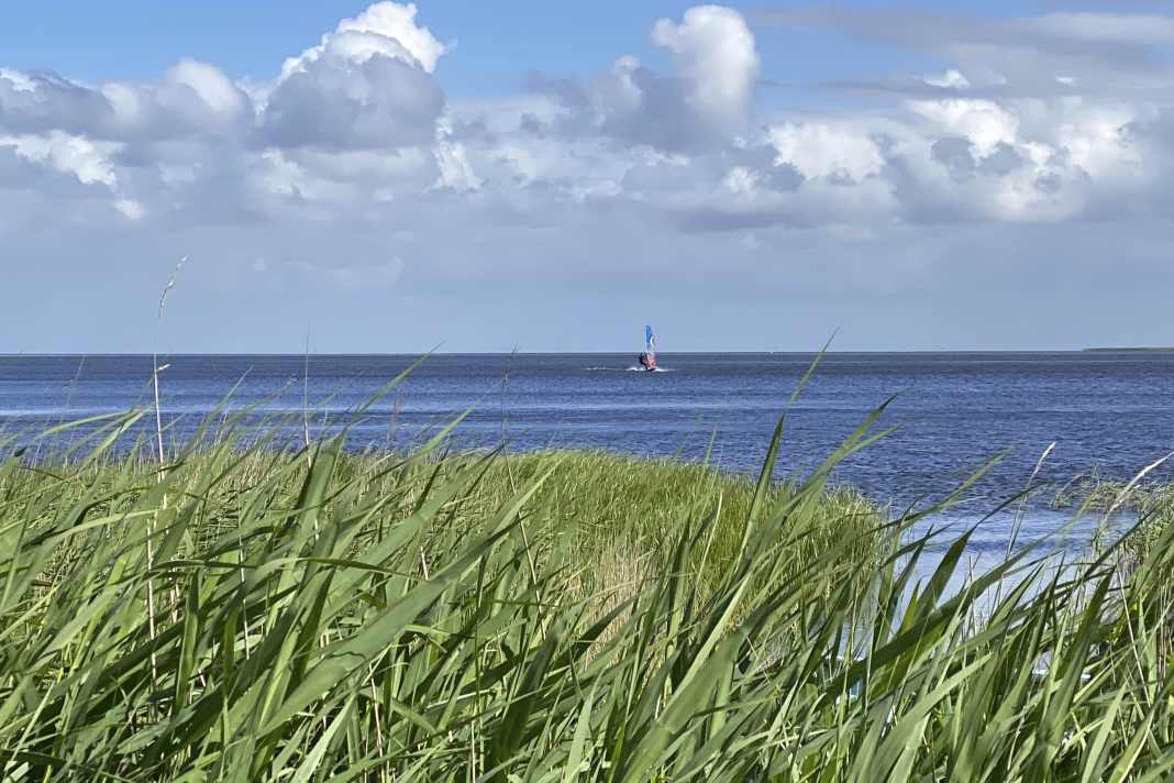Den Spot am Bjerregard Campingplatz haben die Camper exklusiv.