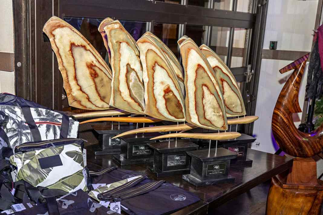 Die PWA-Saison ist vorbei, die Pokale stehen bei den besten Windsurferinnen und Windsurfern der Welt im Regal. Wir zeigen die Top Drei aus allen Disziplinen