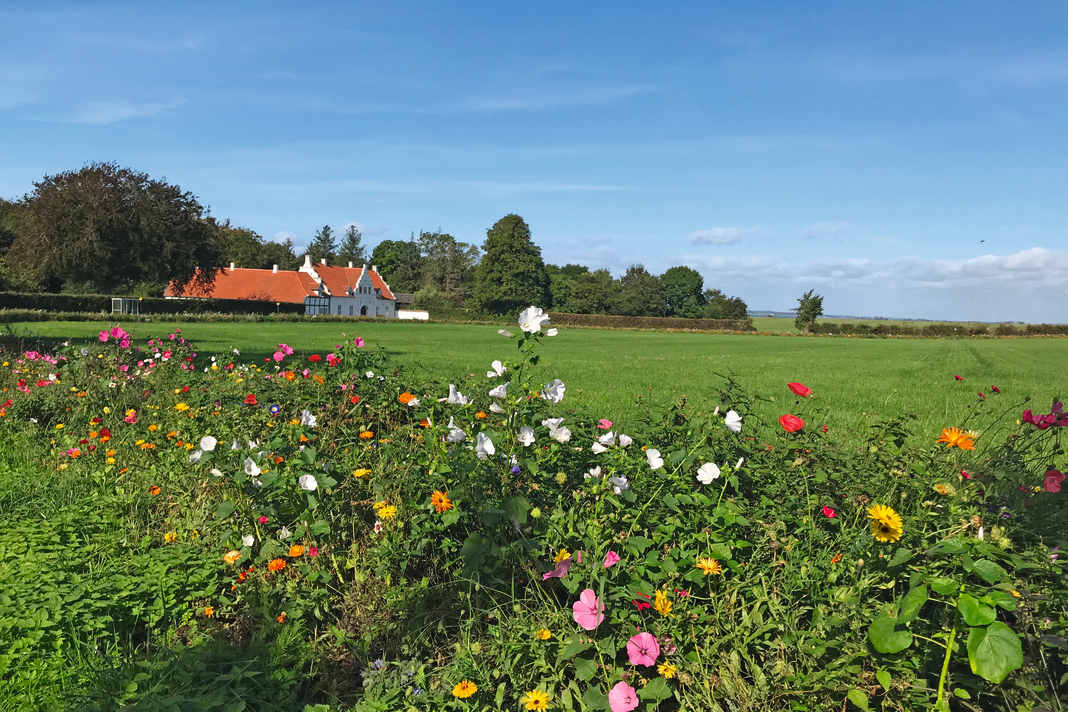 The well-kept manor houses create an almost kitschy atmosphere.