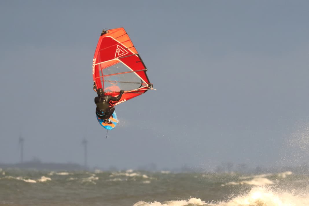 The Torro is one of the absolute freemove classics