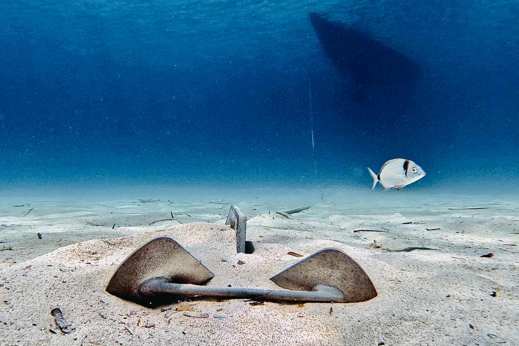 Das Leserfoto des Jahres: Was mag sich die Meerbrasse beim Anblick des Ankers denken? Und ob sie die über ihr schwimmende Yacht bemerkt hat?
