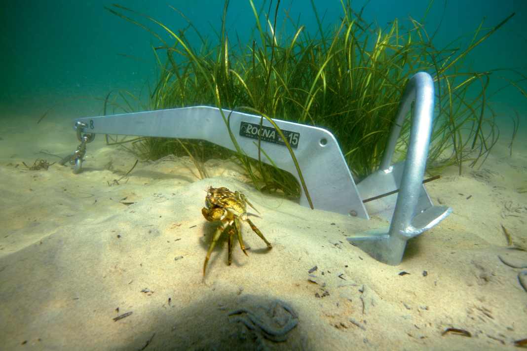 Bottom dweller. The anchor can't keep up with the crab's digging skills, but it holds the yacht securely in place