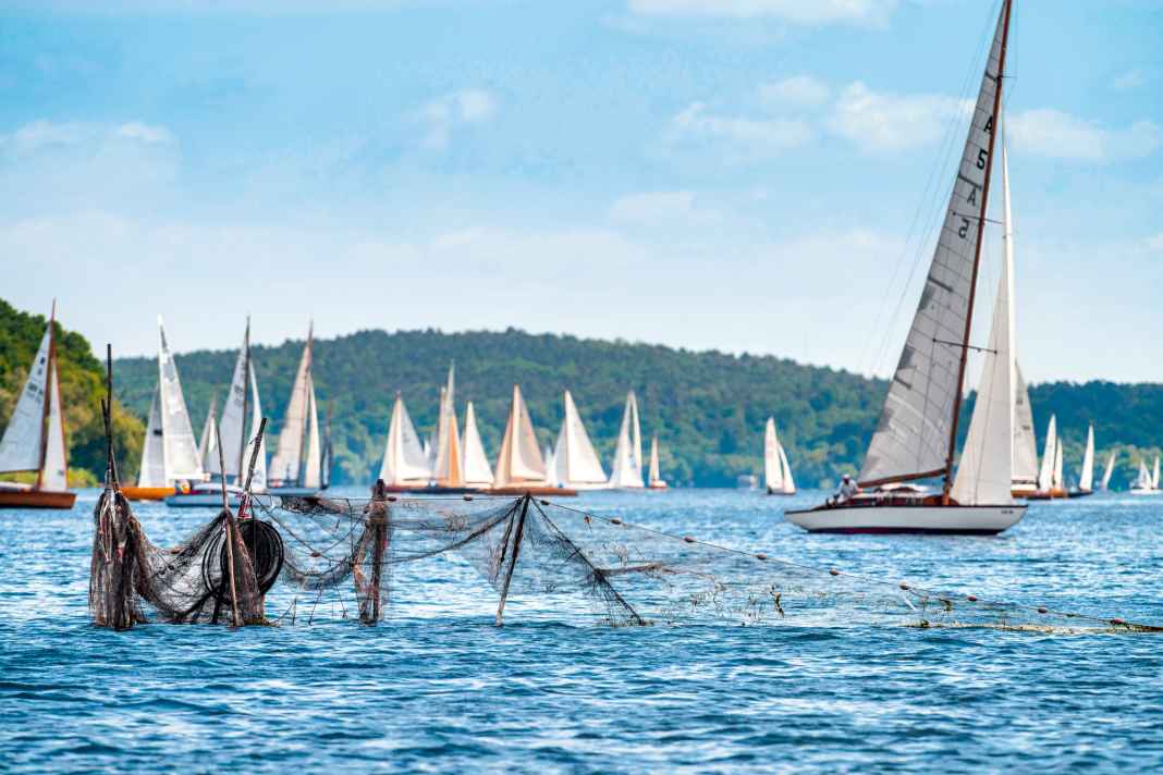 Twine nets on the banks of the Havel. Sailors steer clear of such fishing gear