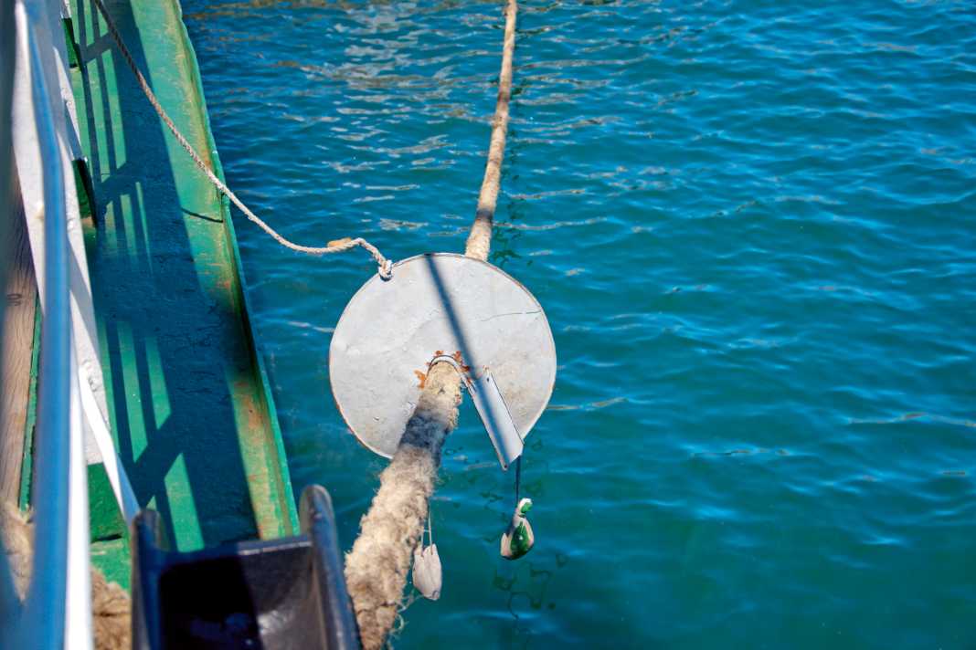 Please do not come on board! If there is a known mouse problem ashore, the entrances may be blocked.