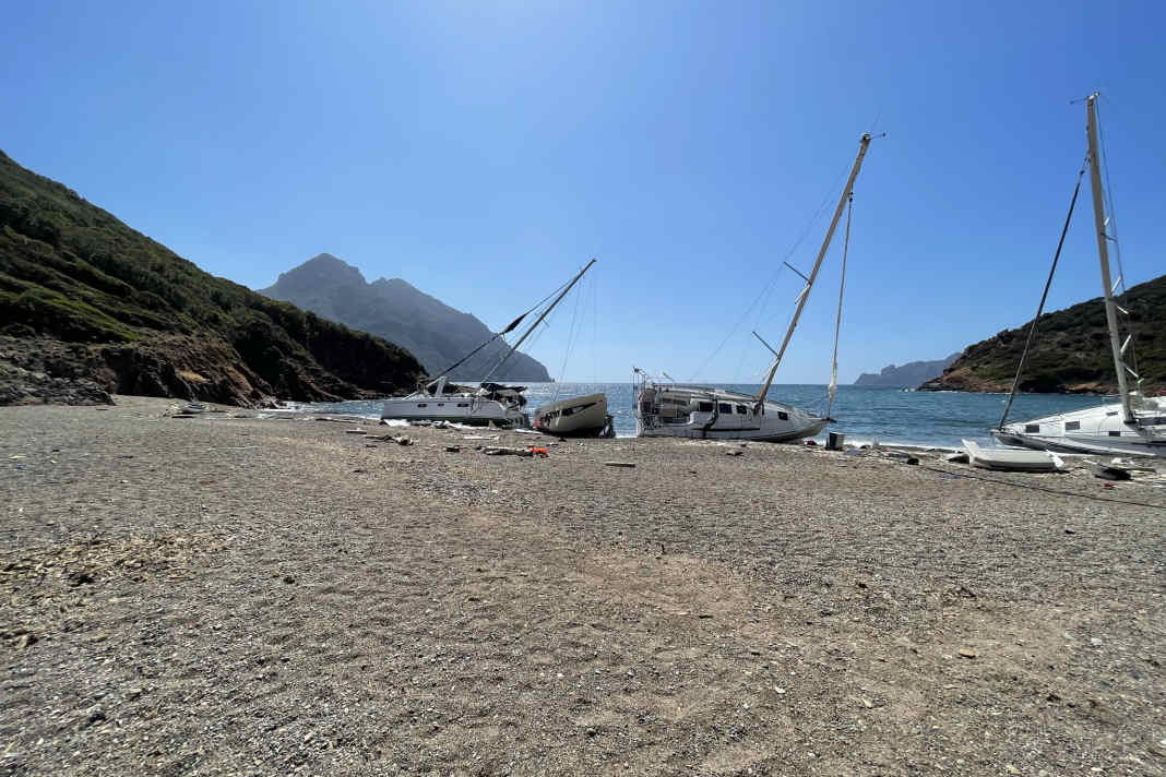 The entire coast of the bay is covered with ...