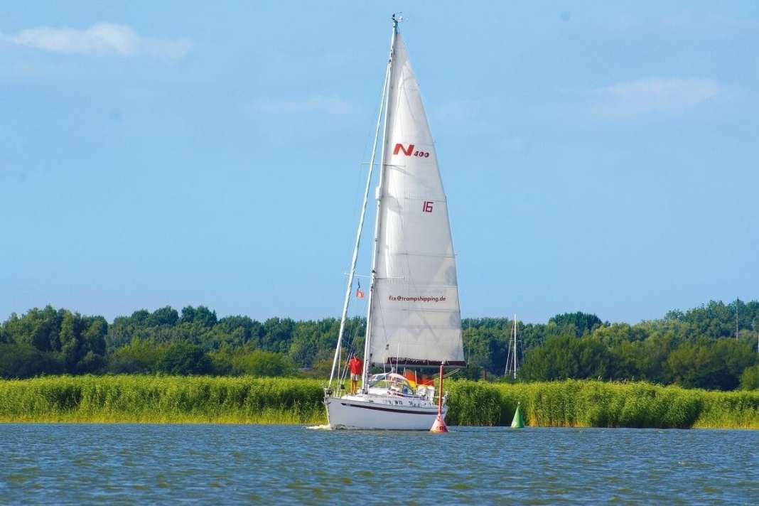 Yacht vor Schilfgürtel im Greifswalder Bodden