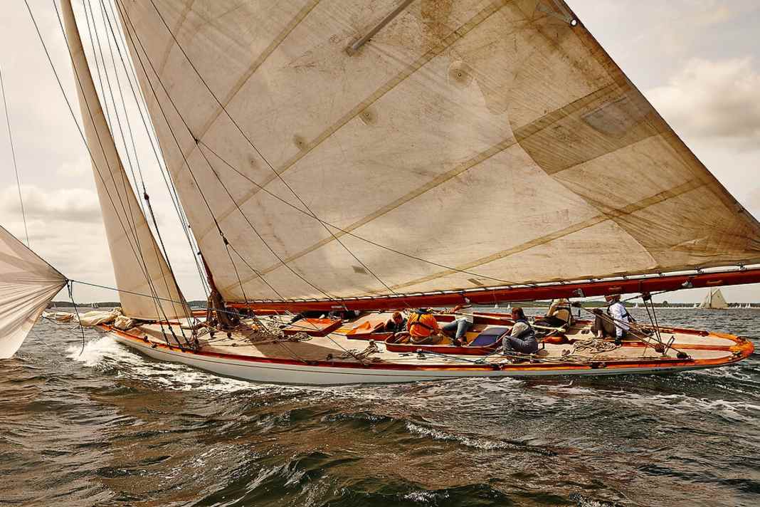 La douzaine de première règle "Cintra