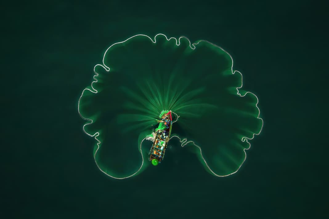 
Nguyen Vu , Cao, Vietnam, 1ère place

'FEUILLE DE LOTUS OCÉANIQUE
Dans chaque métier, nous trouvons des défis, mais aussi de la beauté. Lorsque les pêcheurs partent sur l'eau, ils espèrent revenir avec des bateaux remplis de poissons et de crevettes. Je veux simplement transmettre la beauté de l'art de la pêche à la senne dans mon pays, la province de Quang Ngai, au Vietnam.