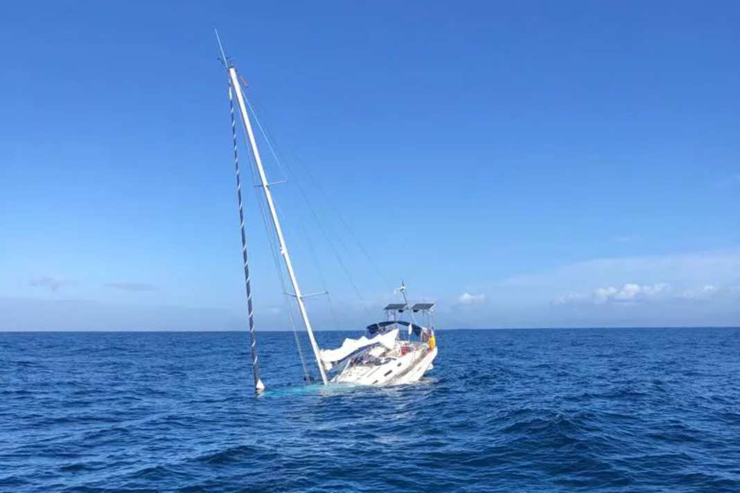 Vor einem Jahr ist eine Yacht nach einem Orca-Angriff vor Viana do Castelo (Portugal) gesunken. Es ist nicht der einzige Fall, bei dem die Schwertwale ein Schiff auf Tiefe schickten