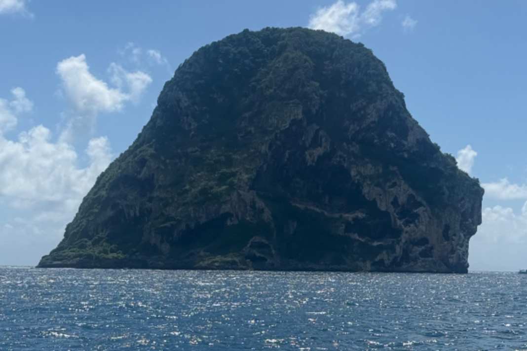 The picture of the diamond rock off Martinique comes from on board the Imoca "FDJ United - WeWise", which Fabrice Amedeo and Andreas Baden brought to the finish line in 16th place in the Imocas.
