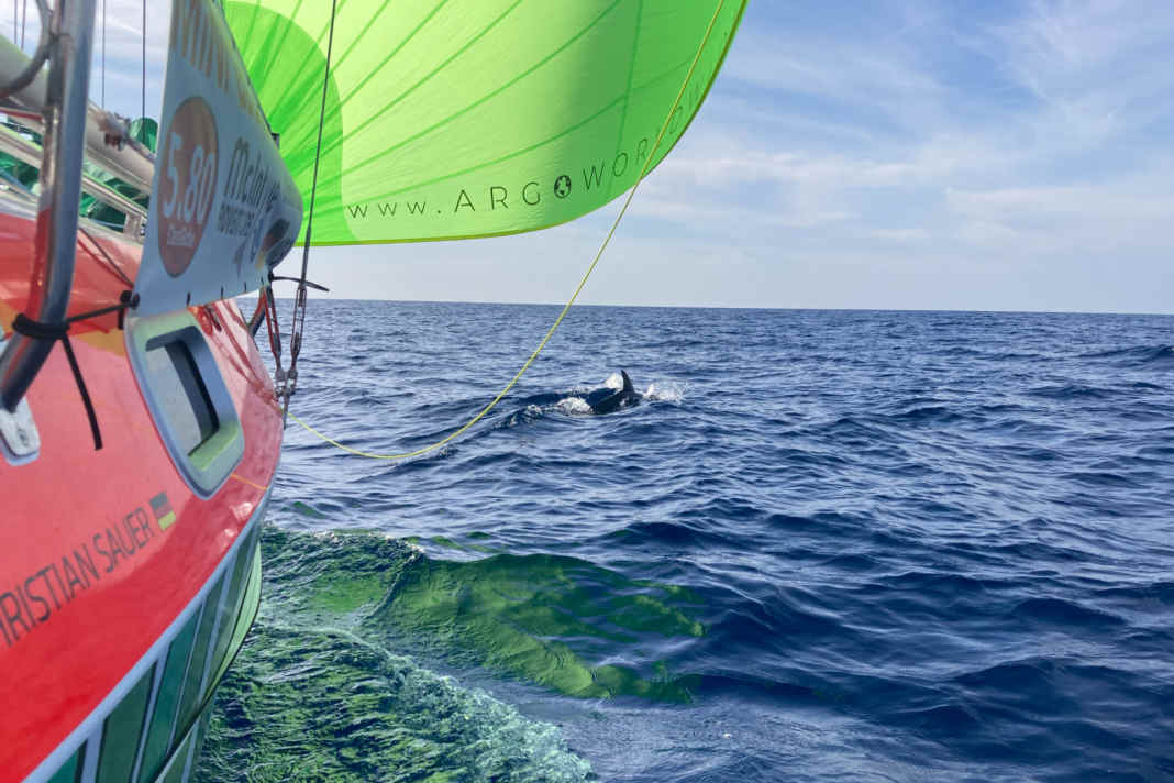 Les conditions du Globe 5.80 étaient en grande partie favorables, mais aussi exigeantes.