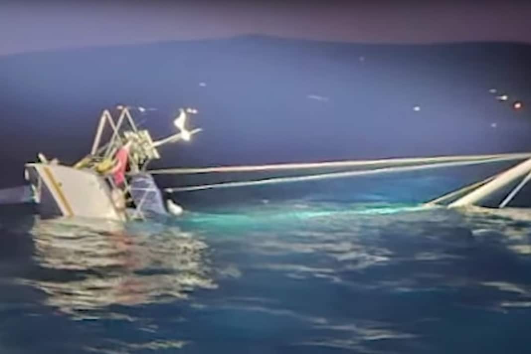 Orca attack: pictures of the sinking of the "Bonhomme William"