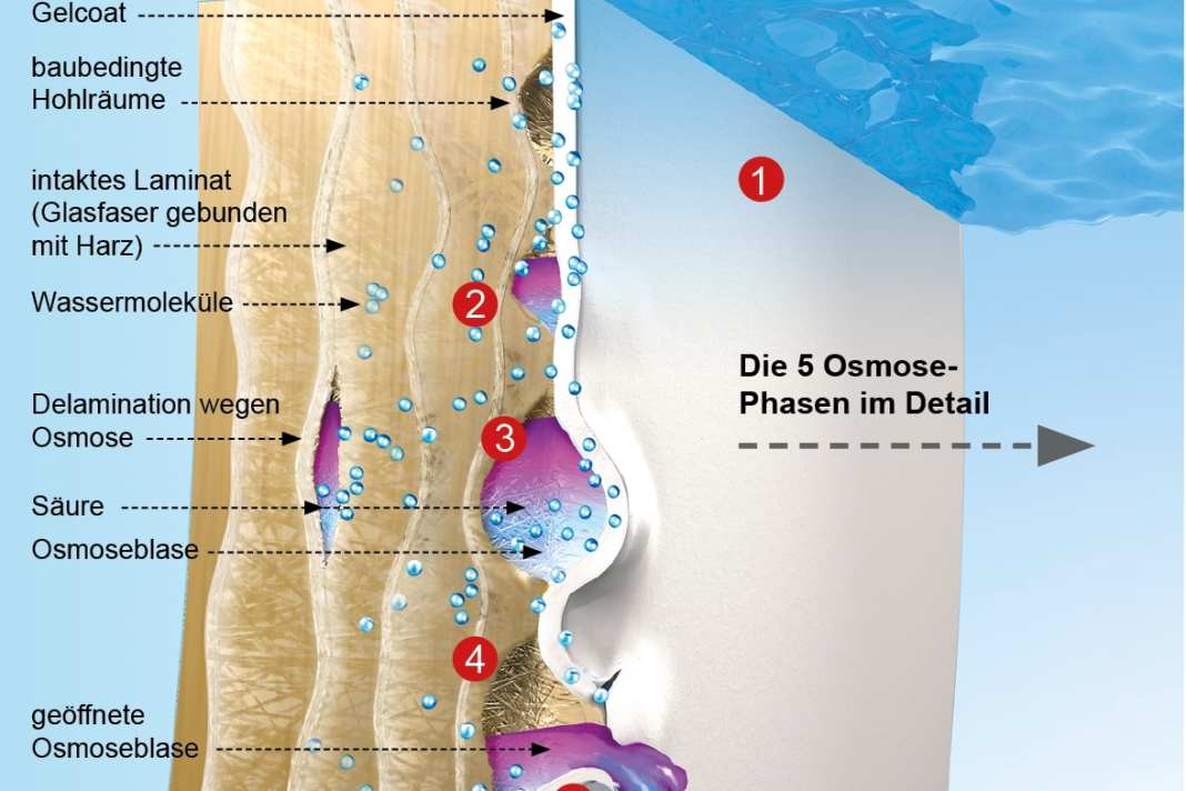 Die Entstehung von Osmose an Yacht-Rümpfen in der Illustration
