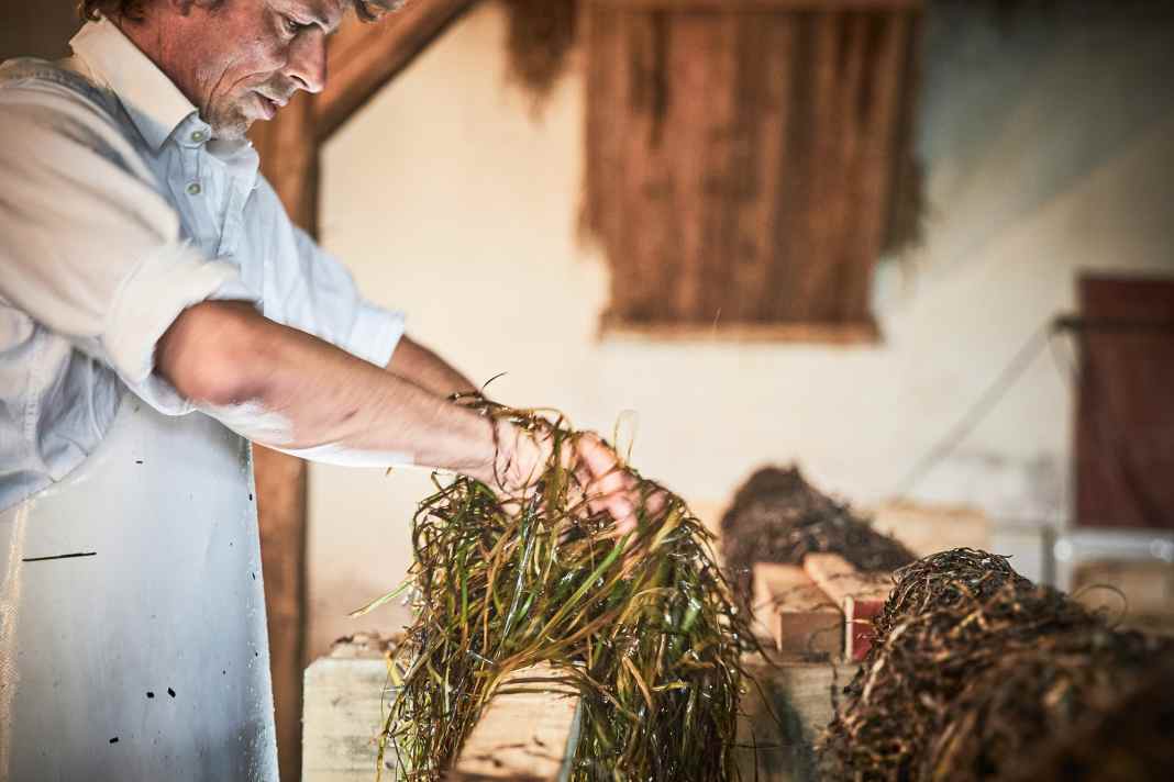 Dans sa manufacture de la plage, Kristian Dittmann fabrique des coussins et bien plus encore à partir d'algues - une matière première fascinante.