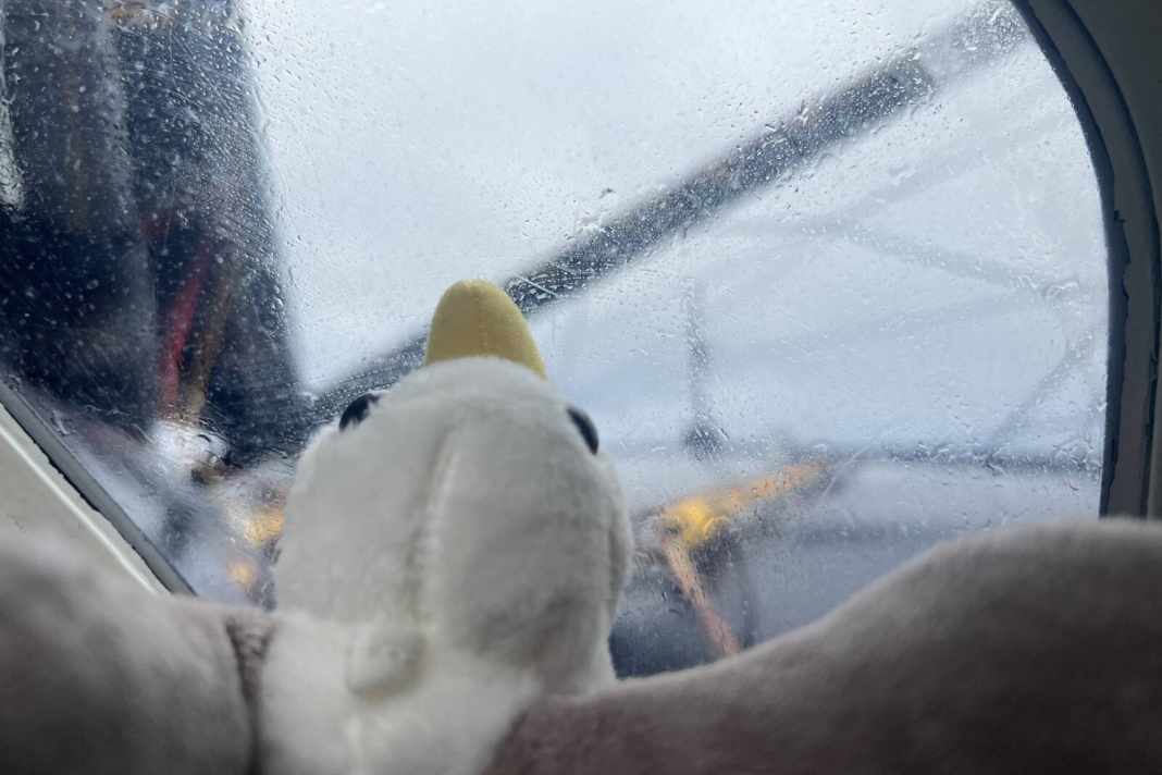 Clarisse Crémer machte dieses symbolträchtige Bild vom Plüsch-Albatross mit Blick aufs graue Meer auf "L'Occitane en Provence".