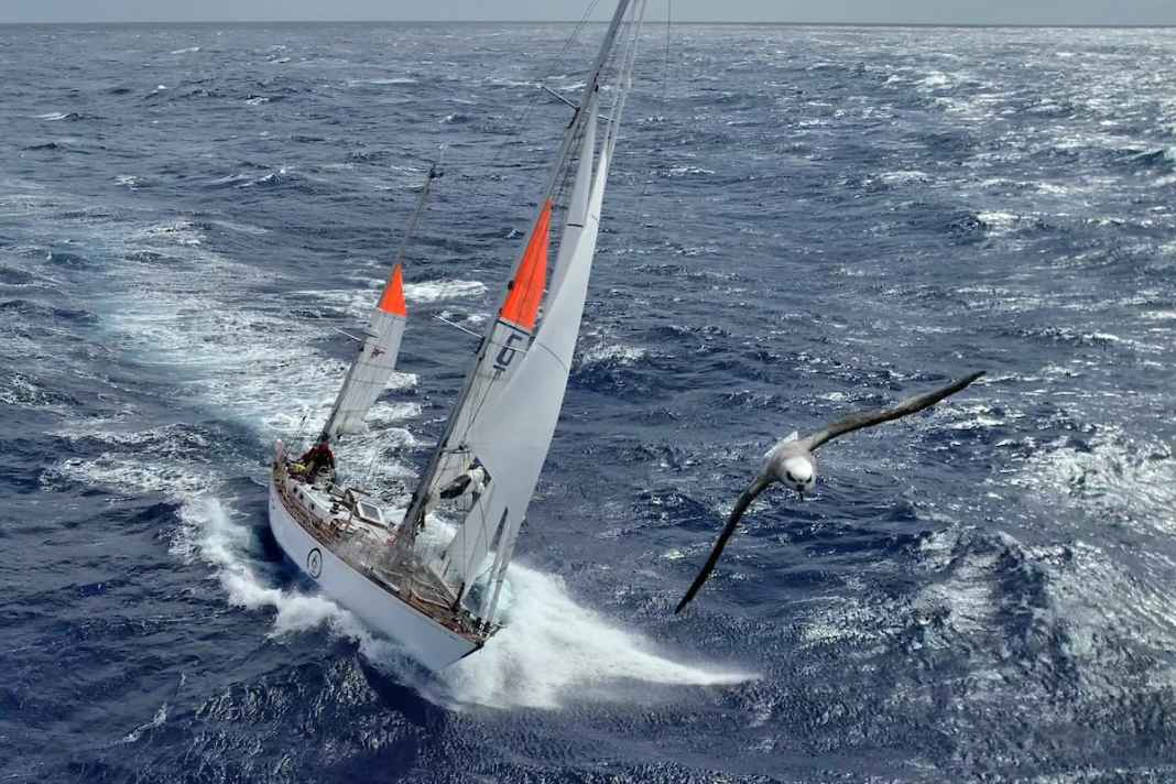 "Galiana" on the way to the Cape