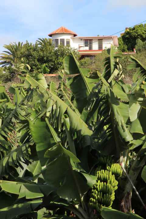   The house of the Kochs on La Palma