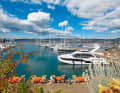 Marina Porto San Rocco