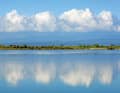 Grado lagoon
