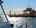 Just before Öregrund, we pass the ferry that runs between the town and the island of Gräsö