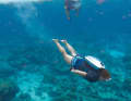 Dive like a dolphin: for 40 minutes at a maximum of six knots at a depth of up to 40 metres