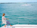 The lookout at the bow is nevertheless important, especially in shallow areas