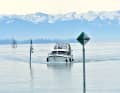Die schneebedeckten Allgäuer Alpen im Hintergrund: Unser Charterboot läuft in den Hafen von Friedrichshafen ein