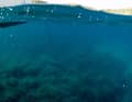 With an action cam like this, you can also take impressive underwater shots, for example