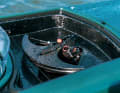 Pegasus detaches from the water surface at ten knots or more