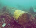 Rostende Mine. In der deutschen Ostsee werden 300.000 Tonnen Munition vermutet