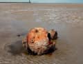 Anchor mine from the First World War.  Some of the finds are over 100 years old