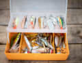 Tidy: A well-organised tackle box is an essential part of any boat's equipment.