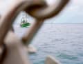 Respekt vorm Wattenmeer? Speziell dafür gibt es einen Kurs – wir nehmen euch mit.