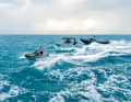 Selection: In addition to four suitably painted jet skis and the Ski Nautique GS20, a RIB from Xtenders and a Wajer 38S are available for excursions.