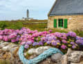 Rustic atmosphere: hydrangeas in walled gardens add colour to the landscape