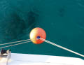 Eine der einfachsten und zugleich preiswertesten Liegemöglichkeiten mit Katamaranen ist das Festmachen an einer Mooring-Boje, die meist in sogenannten Feldern ausgelegt werden