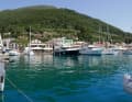 Sami auf Kefalonia