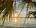 Almost Caribbean: at the lido in Murten