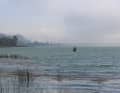 The northern shore of Lake Murten in the morning