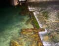 La mastra all'ingresso del bacino di Victoria Marina mentre l'acqua scende.