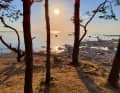 Evening sun over the Baltic Sea on the beach of the Dirhami nature reserve, Estonia.
