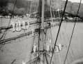 Sailing manoeuvres on a voyage abroad of the "Schulschiff Deutschland".