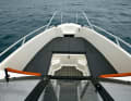Bella 600 BR:Bug