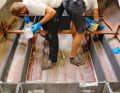 Once the stringers are positioned as they should be, the adhesive can be smoothed out at the edges in the form of a fillet and left to harden for a day