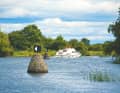 Charter boat on the Shannon